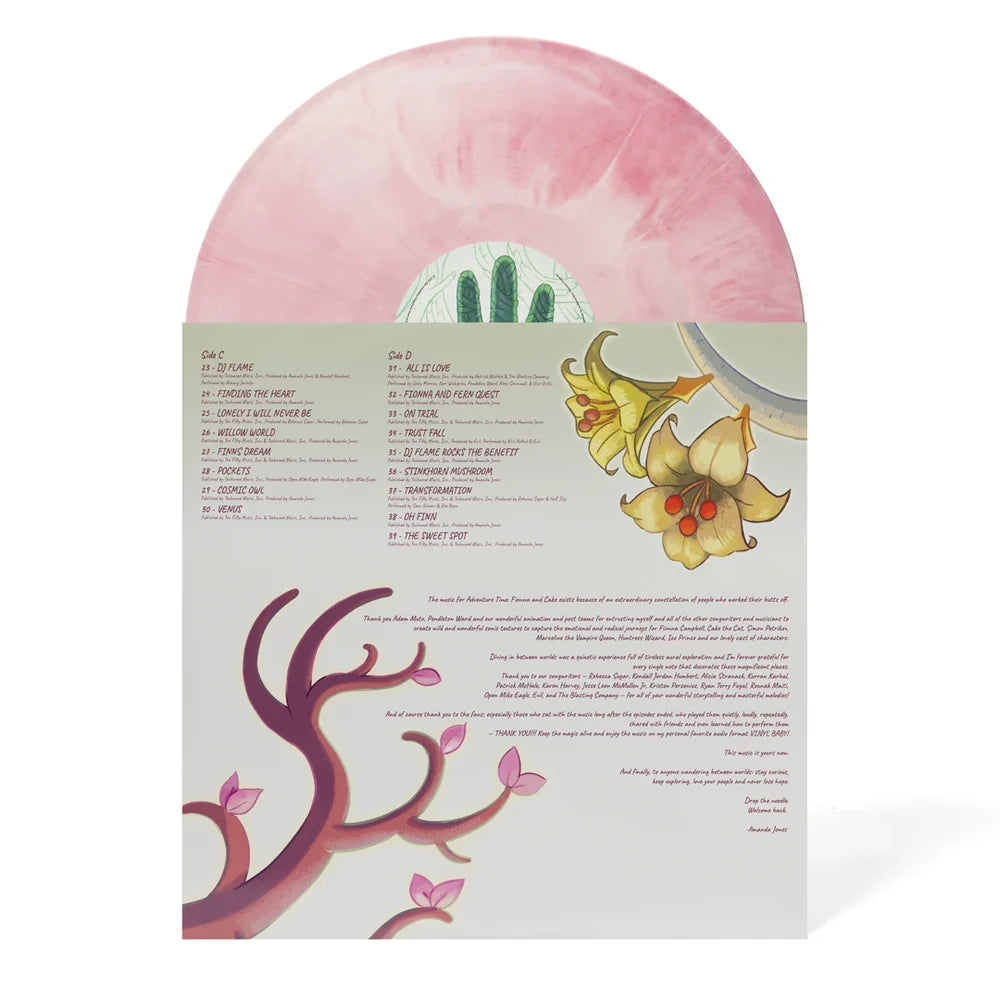 Fionna and Cake Vinyl Soundtrack