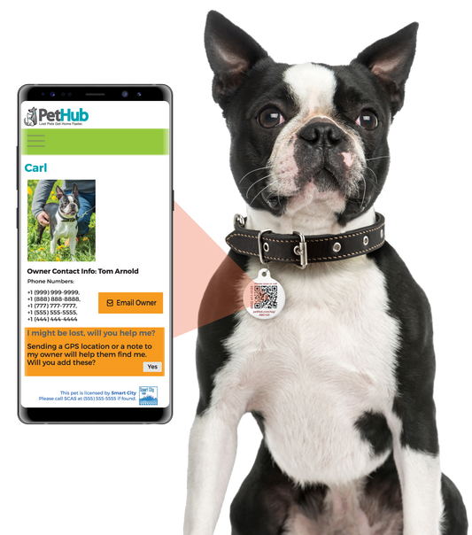PetHub QR ID Pet Tag - KIss Me I'm Rescued